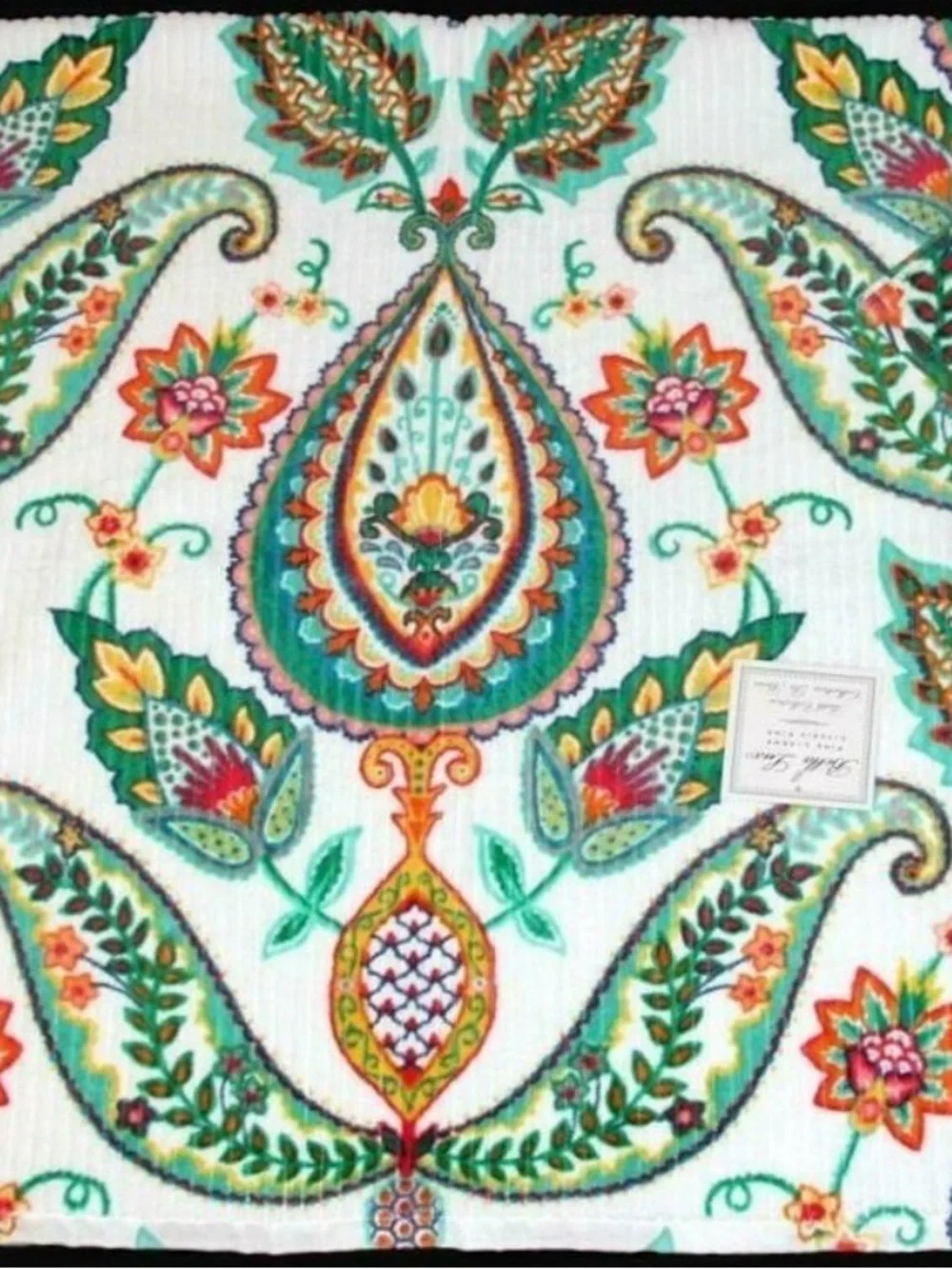 Bella Lux 55x29 discontinued set of 2 Vibrant Teal & Coral Paisley Bath Towel